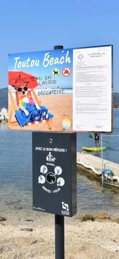 Studio Le Monroe Les Pieds Dans L'Eau 10 M De La Mer ラ・セーヌ・シュル・メール エクステリア 写真